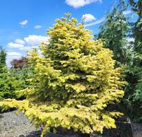 Garden World - The Portland Area's Best Garden Center
